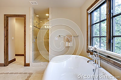 Brightly Lit Bath Tub and Shower Area Stock Photo