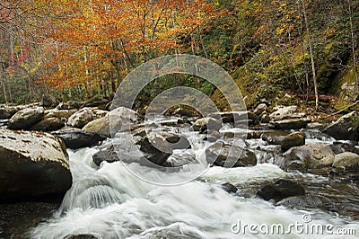 Brilliant autumn colors, rushing stream. Stock Photo