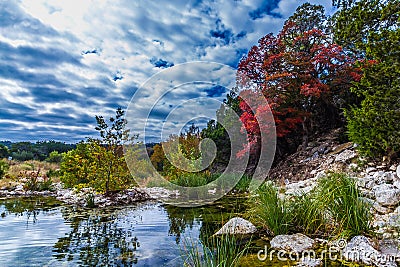 Striking Red Maple Foliage in Texas. Stock Photo