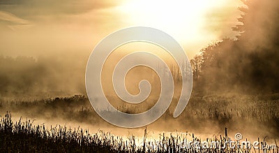 Brilliant sunrise on foggy, misty marsh wetland on a summer morning. Stock Photo