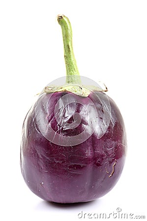 Brinjal Stock Photo