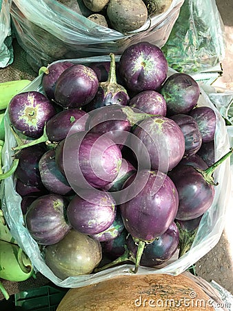 Brinjal Stock Photo