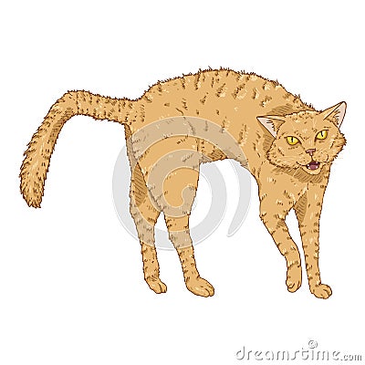 Bristling Cat. Vector Cartoon Feline Illustration Vector Illustration