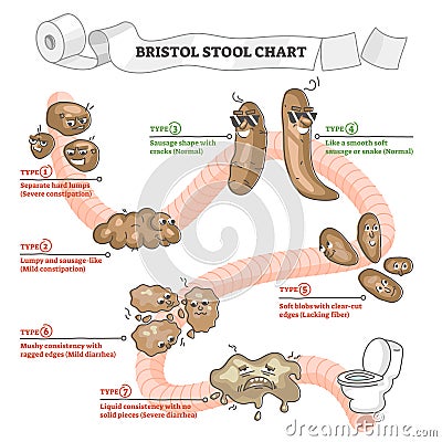 Bristol stool chart with excrement description and types outline concept Vector Illustration