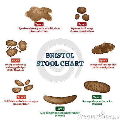 Bristol stool chart tool for faeces type classification vector illustration Vector Illustration