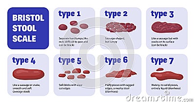 Bristol Stool Scale Composition Vector Illustration