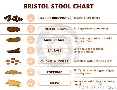 Bristol stool scale, poop types infographic. Digestive problems medical poster, different poops structure. Faeces or Vector Illustration