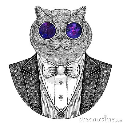 Brithish noble cat Hipster animal Hand drawn image for tattoo, emblem, badge, logo, patch, t-shirt Stock Photo