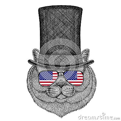 Brithish noble cat Male wearing cylinder top hat and glasses with usa flag United states of America flag Stock Photo