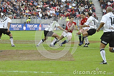 British lions attacking Editorial Stock Photo