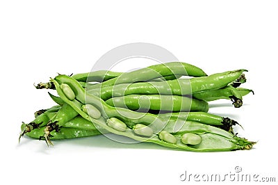 Broad bean Stock Photo