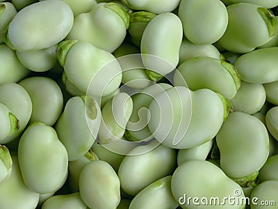 Broad Beans Stock Photo