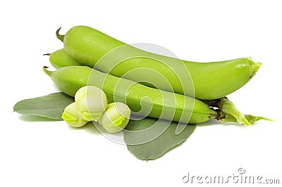 Broad Beans Stock Photo