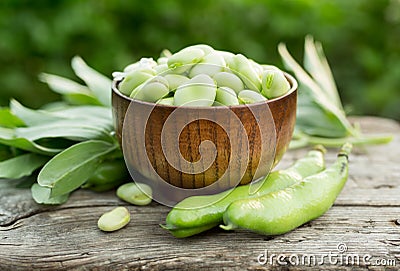 Broad beans or fava beans Stock Photo