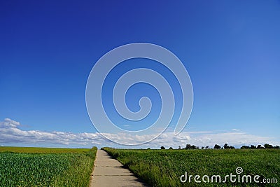 Path divides vast fields and seems to lead to heaven. the view extends to the horizon, where the clouds hang very low Stock Photo