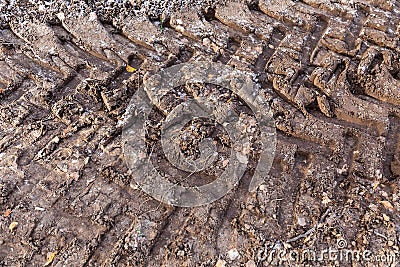 Broad tracks of a tractor on frozen ground Stock Photo