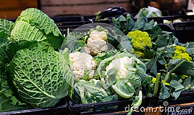 Broccoflower, cauliflower, broccoli, cabbage at market Stock Photo