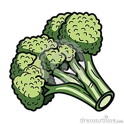 Broccoli Vector Illustration