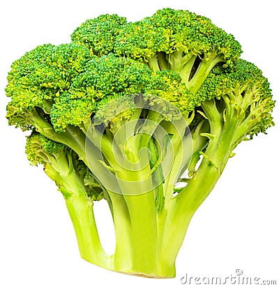 Broccoli cabbage Stock Photo