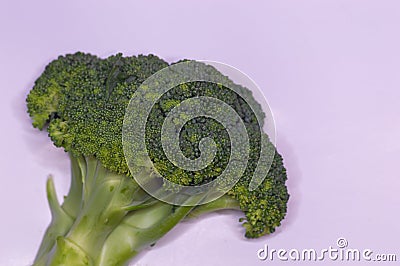 Single Broccoli isolated on white background Stock Photo