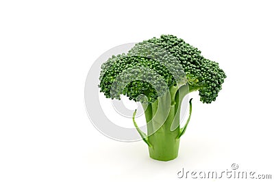 Broccoli floret Stock Photo