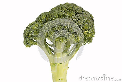 Broccoli Floret Stock Photo