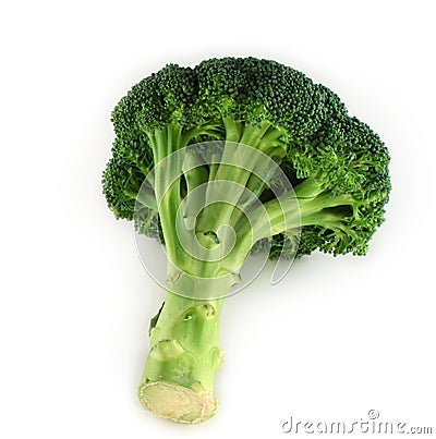 Broccoli isolated Stock Photo