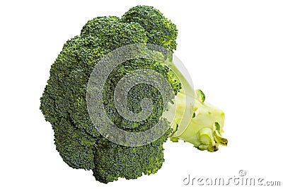 Broccoli isolated Stock Photo