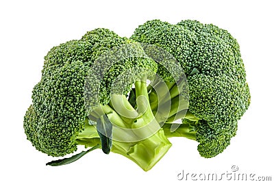 Broccoli isolated on white without shadow Stock Photo