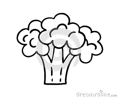 Broccoli Line Icon Vector Doodle Shape Vector Illustration