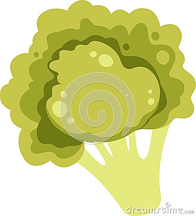Broccoli Plant Icon Vector Illustration