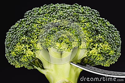 Broccoli on a silver fork. Vegetable black background isolated.Concept and diet concept, weight loss, healthy eating, macro Stock Photo