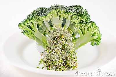 Broccoli sprouts Stock Photo