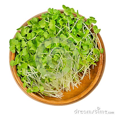 Broccoli sprouts, young plants and microgreen in a wooden bowl Stock Photo