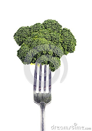 Broccoli On Top Of Fork Isolated On White Stock Photo