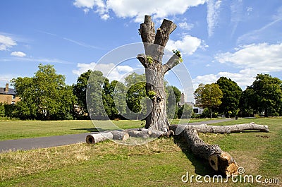 Brockwell Park in Brixton, London Stock Photo