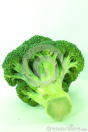 Brocolli bunch, isolated Stock Photo