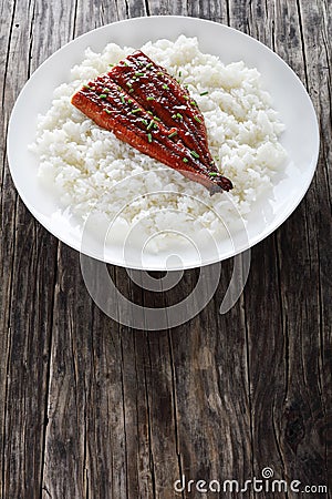 Broiled unagi fillet with white rice Stock Photo