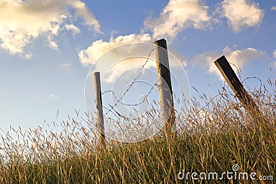 Broken barbed wire fence Stock Photo