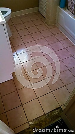 Broken Bathroom Floor DIY or Professional Replacement Job Needed Stock Photo