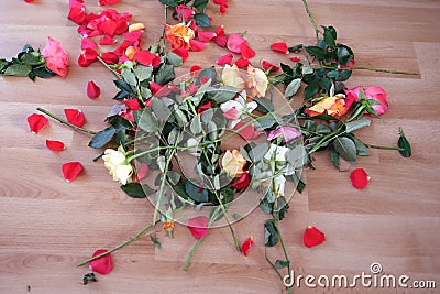 Broken bouquet of roses, scattered on the floor, concept of mother`s, Valentine`s day, birthday, mercantile love of money, Stock Photo