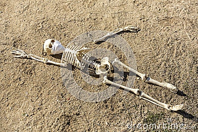Broken child skeleton wearing a mask lying on the ground in a park Stock Photo