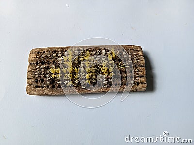 broken clothes brush, manual clothes washing tool made from pieces of wood attached with small pieces of stiff plastic fiber Stock Photo