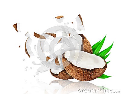 Broken coconut into two pieces with milk splashes Stock Photo