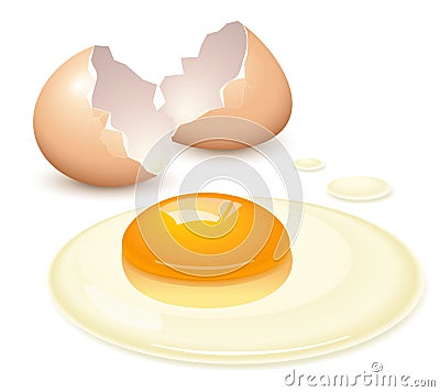 Broken egg Vector Illustration