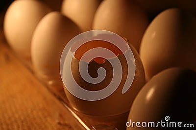 Broken eggs Stock Photo