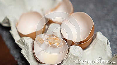 Broken eggshell in paper tray. Many broken eggshell on cardboard box. used brown eggshell. shell recycling concept Stock Photo