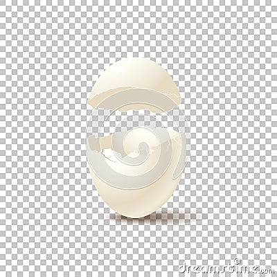 Broken empty eggshell on transparent background. Vector realistic design element. Vector Illustration