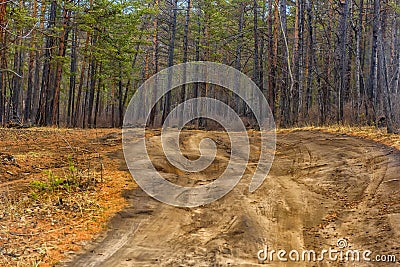 forest road Siberia Stock Photo