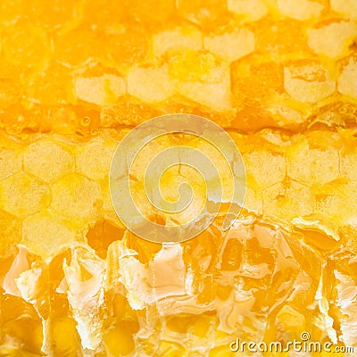 Broken fresh yellow honey comb Stock Photo